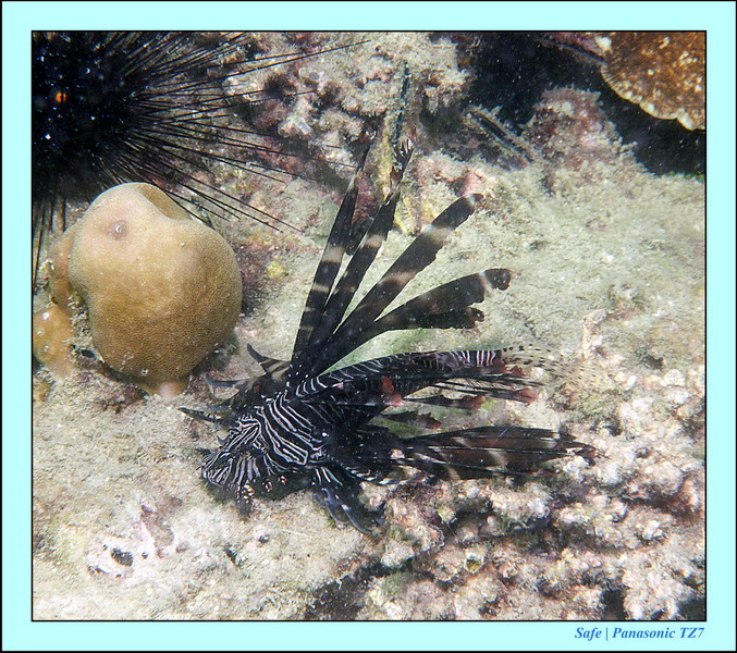 2012 - 03 - Koh Kradan 14